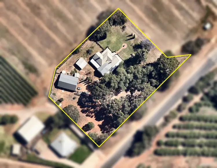 Fifth view of Homely house listing, 220 Morpung Avenue, Irymple VIC 3498