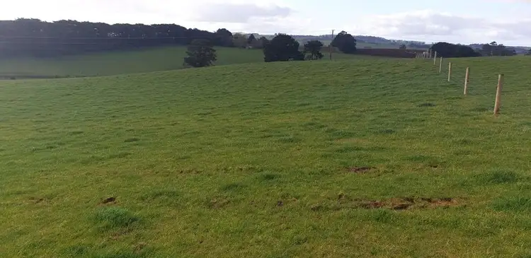 Second view of Homely rural property listing, 1125 Morwell-Thorpdale Road, Thorpdale VIC 3835