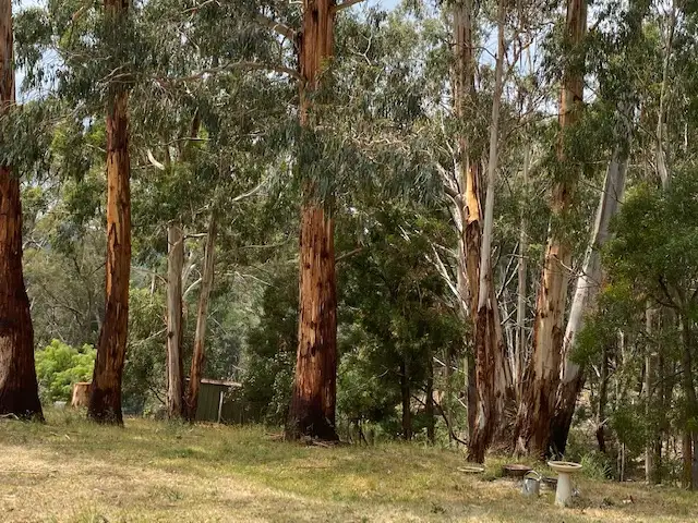 Sixth view of Homely land listing, 6 Old Golden Point Road East, Blackwood VIC 3458