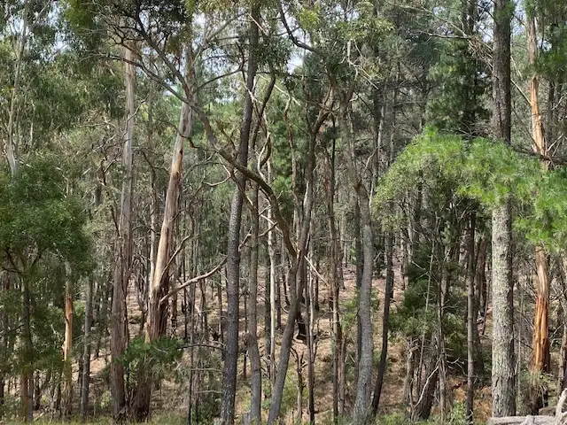 Seventh view of Homely land listing, 6 Old Golden Point Road East, Blackwood VIC 3458