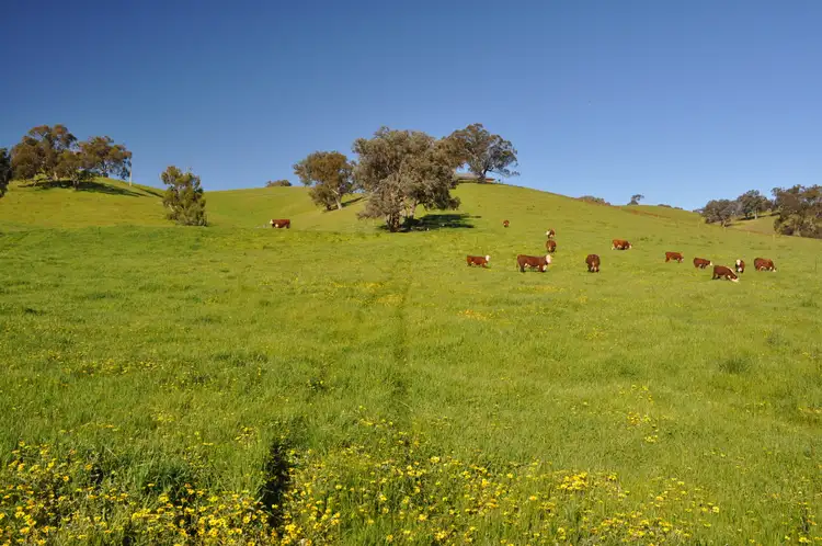 Fifth view of Homely land listing, Lot 2 Howes Creek Road, Howes Creek VIC 3723