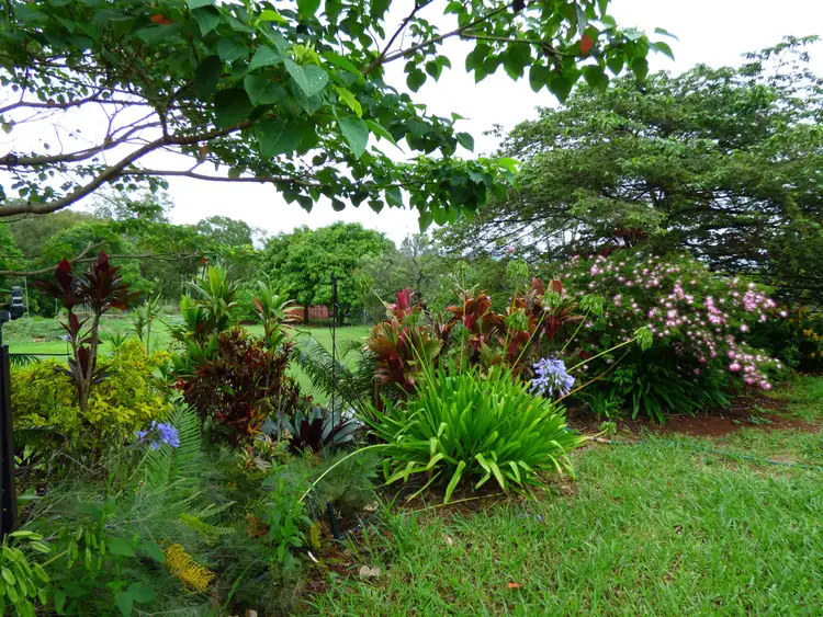 Fourth view of Homely house listing, 14 Lindgren Close, Tolga QLD 4882
