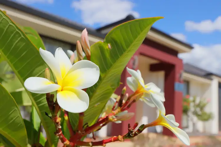 Third view of Homely house listing, 3 Laming Way, Piara Waters WA 6112