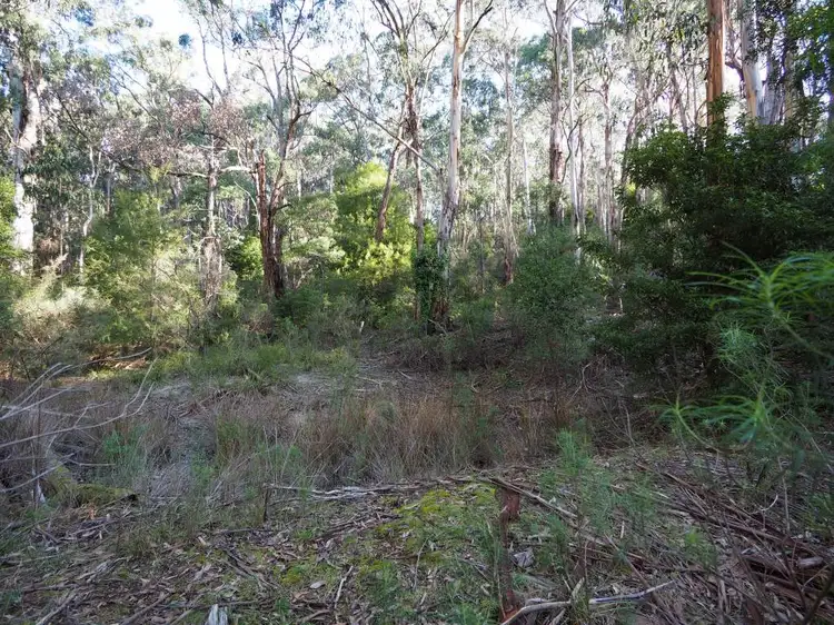 Third view of Homely rural property listing, LOT 2 Jumbuk Road, Jeeralang Junction VIC 3840