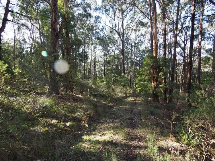 Fourth view of Homely rural property listing, LOT 2 Jumbuk Road, Jeeralang Junction VIC 3840