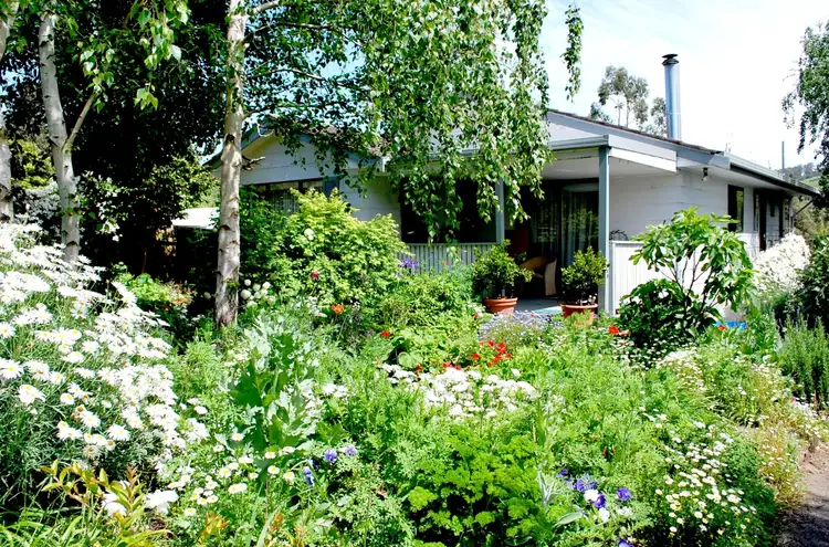 Main view of Homely house listing, 8 Young Street, Boolarra VIC 3870
