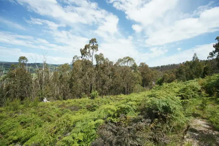 Second view of Homely rural property listing, 961 Darlimurla Road, Boolarra VIC 3870