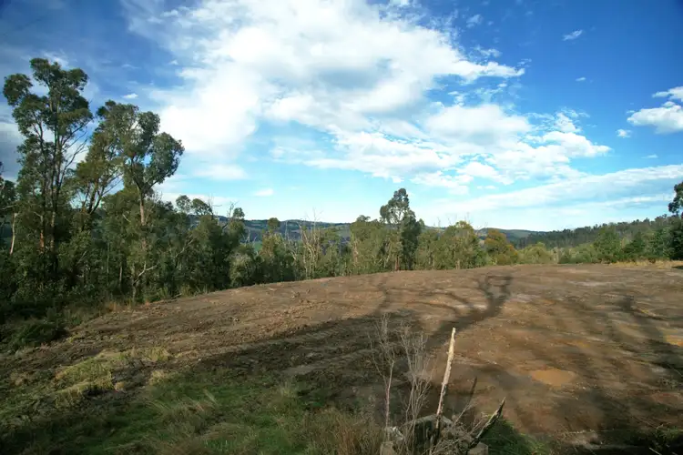 Fifth view of Homely rural property listing, 961 Darlimurla Road, Boolarra VIC 3870
