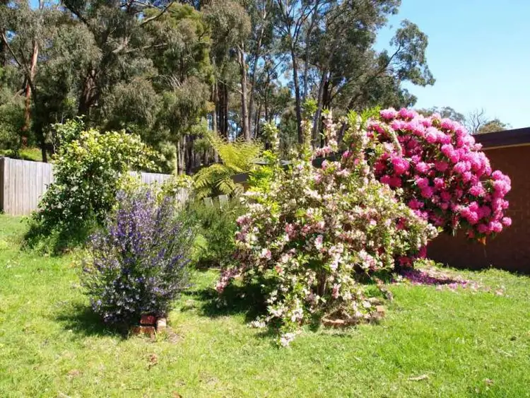 Sixth view of Homely rural property listing, 80 Tebb Terrace, Jeeralang Junction VIC 3840