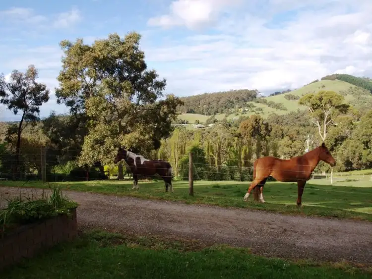 Seventh view of Homely rural property listing, 80 Tebb Terrace, Jeeralang Junction VIC 3840