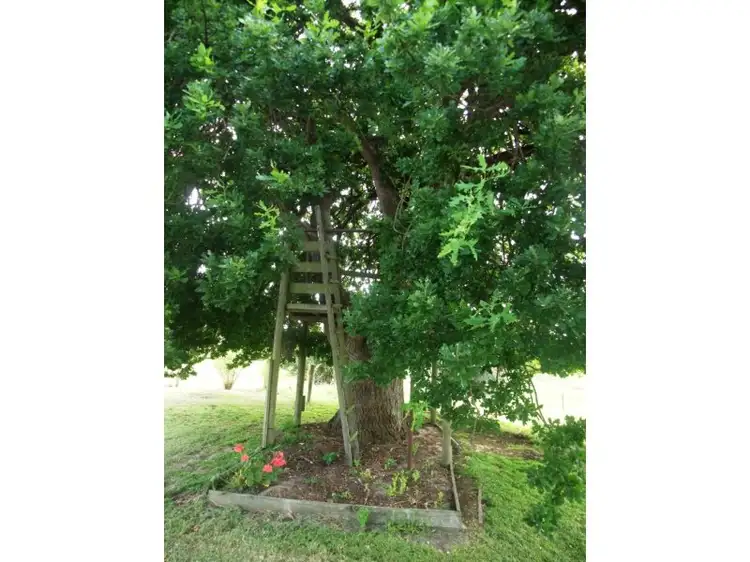 Fourth view of Homely rural property listing, 1875 Monash Way, Yinnar VIC 3869