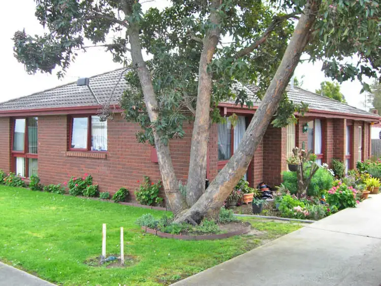 Sixth view of Homely unit listing, 1/16 Sinclair Ave, Morwell VIC 3840