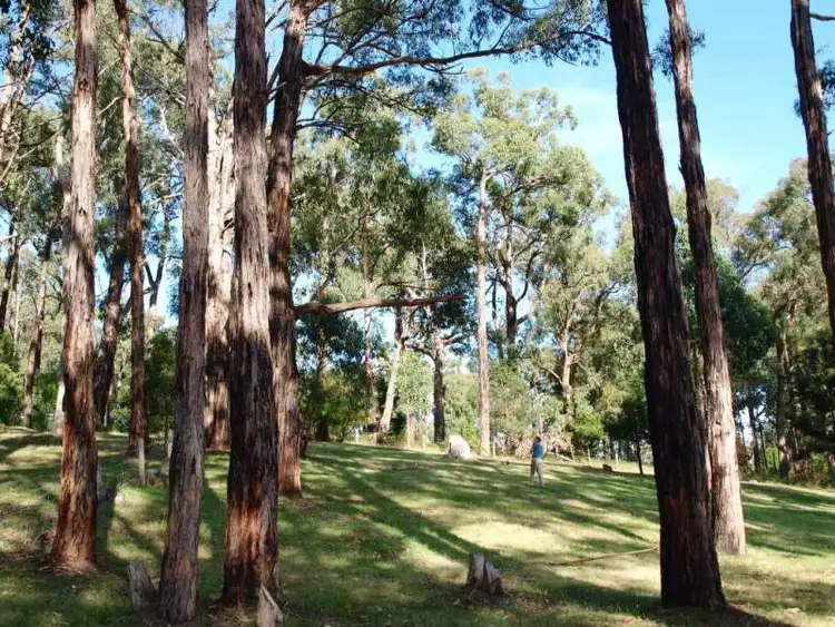 Fifth view of Homely house listing, 80 Tebb Terrace, Jeeralang Junction VIC 3840