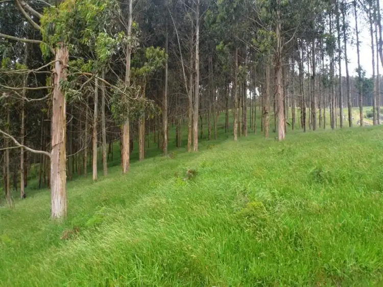 Main view of Homely rural property listing, 64 O'Reillys Hill Road, Jumbuk VIC 3869