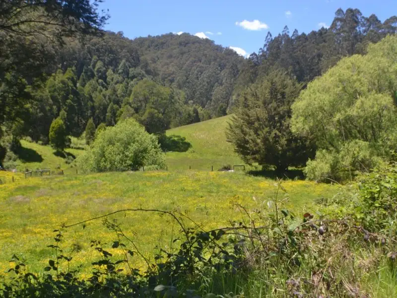 Main view of Homely rural property listing, 35 Radburns Road, Boolarra South VIC 3870
