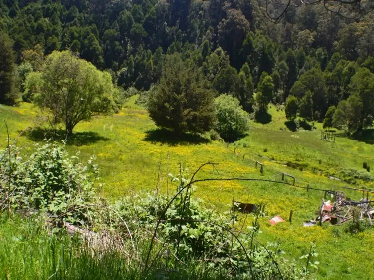 Second view of Homely rural property listing, 35 Radburns Road, Boolarra South VIC 3870