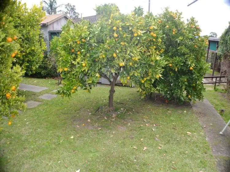 Seventh view of Homely house listing, 38 Hyland Street, Morwell VIC 3840