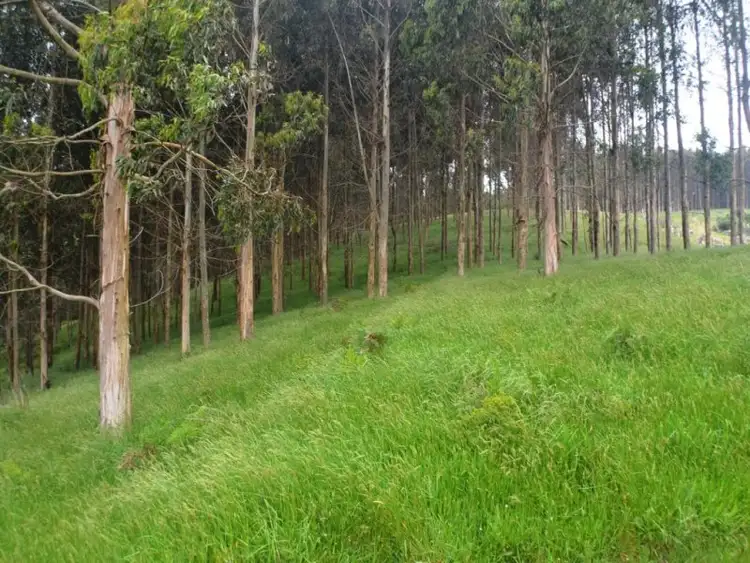 Main view of Homely land listing, 64 O'Reillys Hill Road, Jumbuk VIC 3869