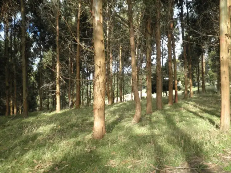 Second view of Homely land listing, 64 O'Reillys Hill Road, Jumbuk VIC 3869