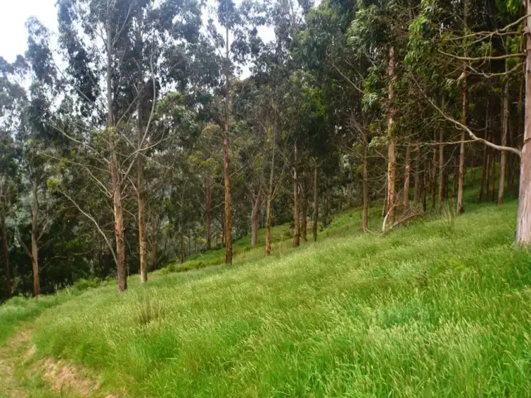 Sixth view of Homely land listing, 64 O'Reillys Hill Road, Jumbuk VIC 3869