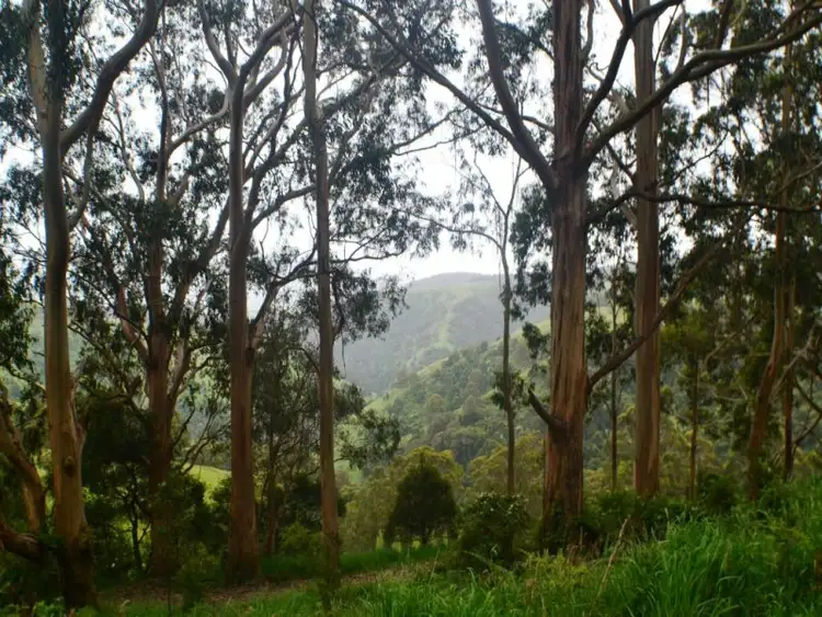 Seventh view of Homely land listing, 64 O'Reillys Hill Road, Jumbuk VIC 3869