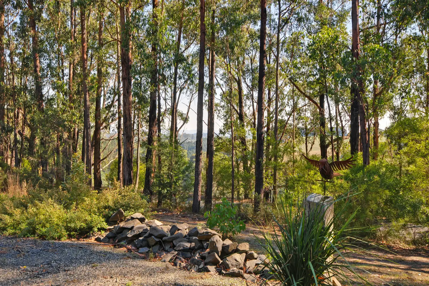 Main view of Homely rural property listing, 620 Budgeree Road, Budgeree VIC 3870