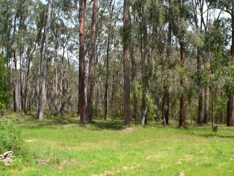 Fifth view of Homely rural property listing, 90 Explorers Road, Yinnar South VIC 3869