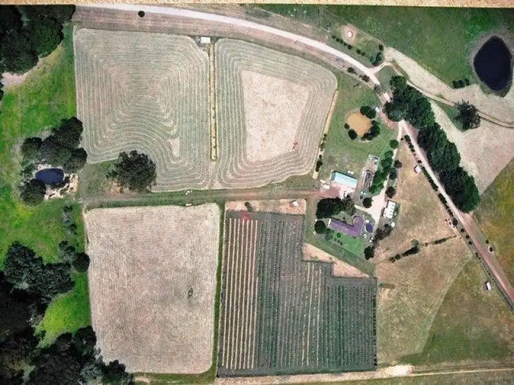 Main view of Homely rural property listing, 120 Pioneer Road, Boolarra VIC 3870