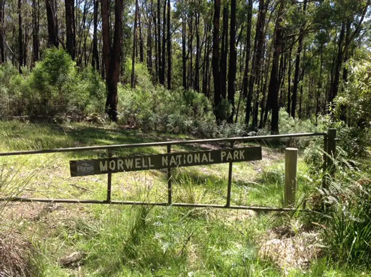 Seventh view of Homely rural property listing, Lot 4 Faye Street, Jeeralang Junction VIC 3840