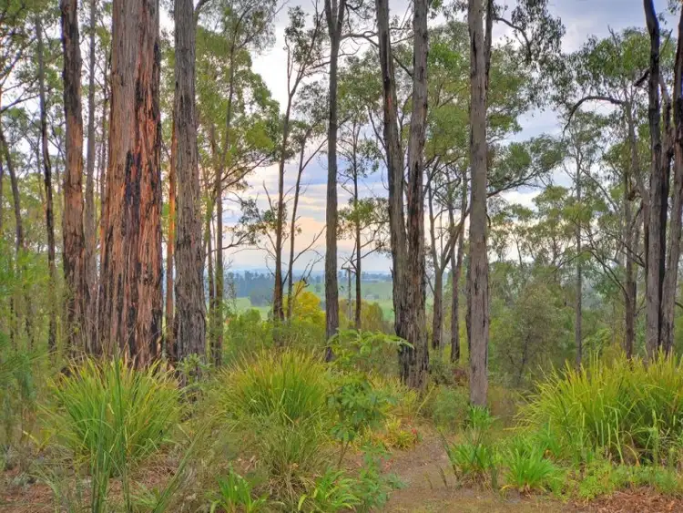 Fifth view of Homely rural property listing, 80 Brewsters Road, Yinnar South VIC 3869