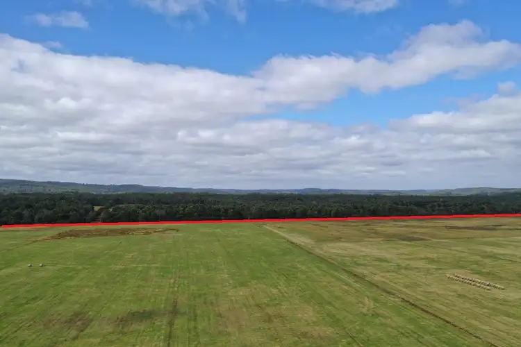Third view of Homely rural property listing, Donalds Road, Roger River TAS 7330