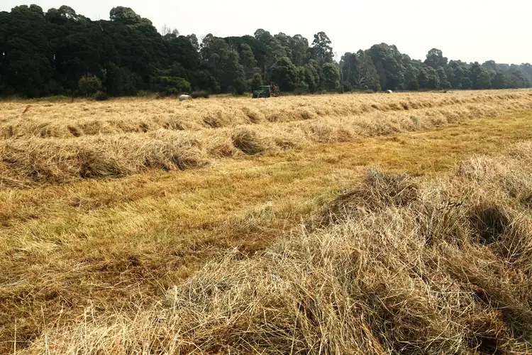 Fourth view of Homely rural property listing, Donalds Road, Roger River TAS 7330