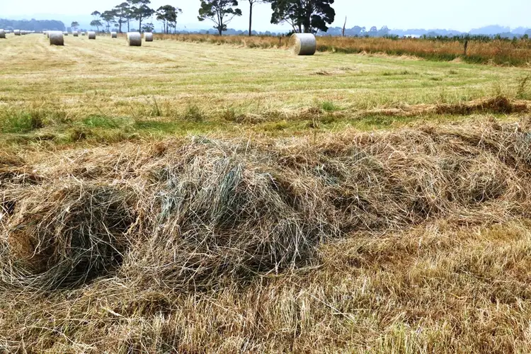 Seventh view of Homely rural property listing, Donalds Road, Roger River TAS 7330