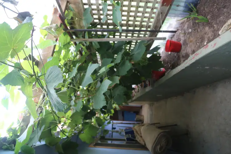 Fifth view of Homely house listing, 13 Airey Drive, Arthur River TAS 7330