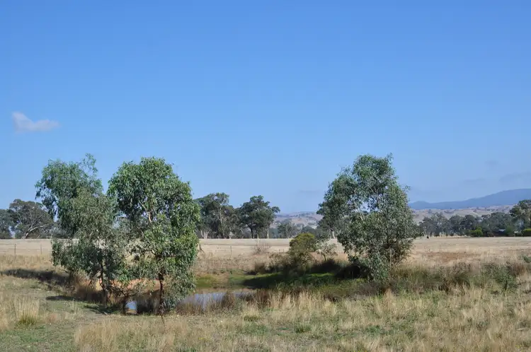 Third view of Homely rural property listing, 2709 Maroondah Highway, Maindample VIC 3723