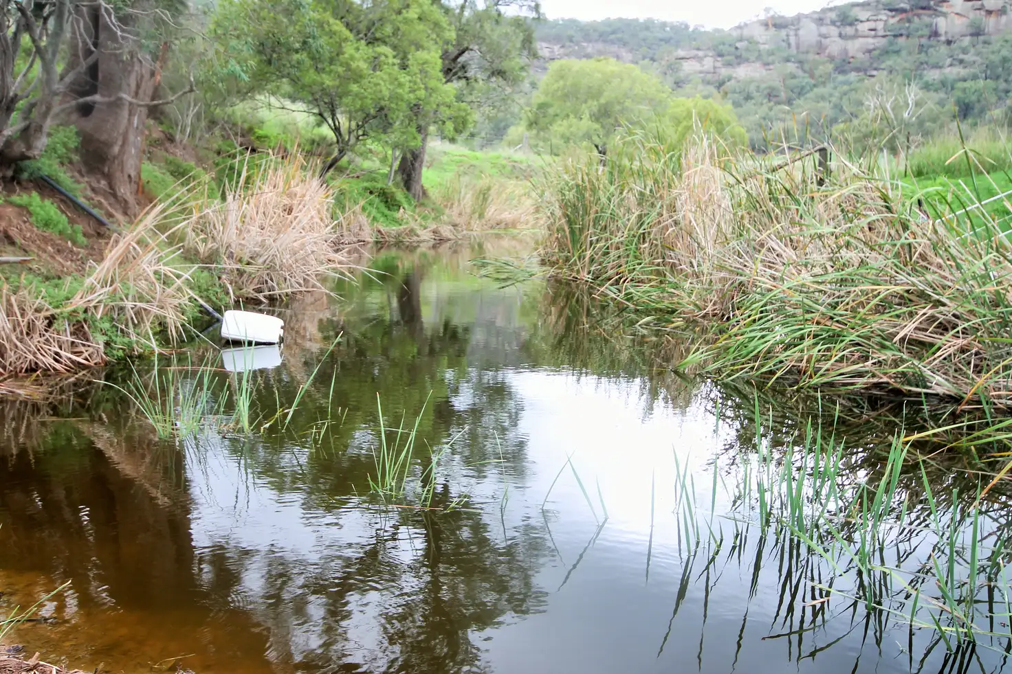Main view of Homely rural property listing, LOT 2/308 Giants Creek Road, Sandy Hollow NSW 2333