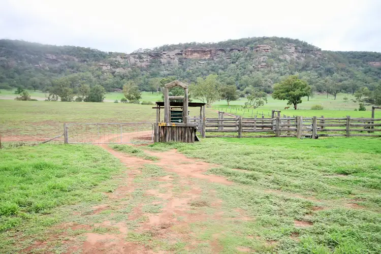Second view of Homely rural property listing, LOT 2/308 Giants Creek Road, Sandy Hollow NSW 2333