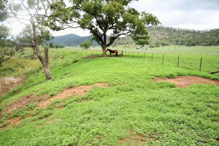 Fourth view of Homely rural property listing, LOT 2/308 Giants Creek Road, Sandy Hollow NSW 2333