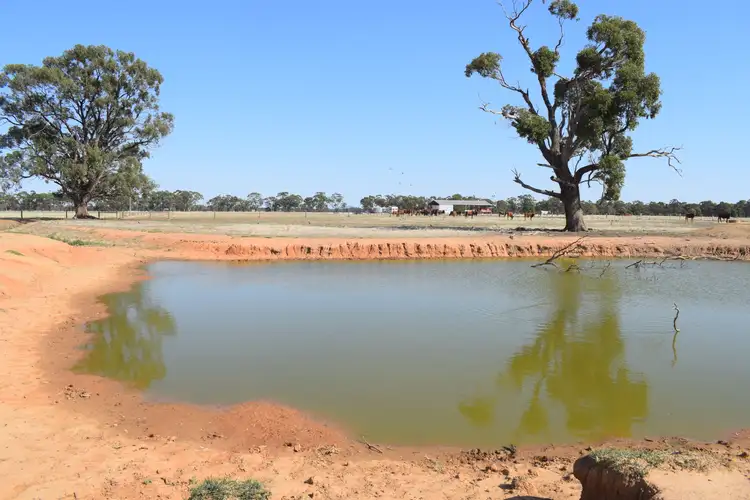 Sixth view of Homely rural property listing, CA 5 BRIDGEWATER-DUNOLLY ROAD, Bridgewater VIC 3516