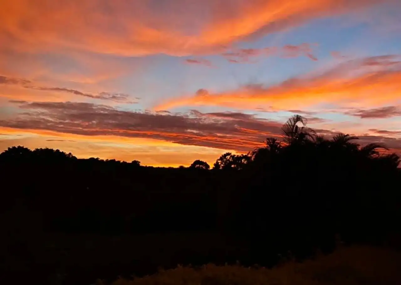 Main view of Homely rural property listing, 64 Sheehan Road, Tarzali QLD 4885