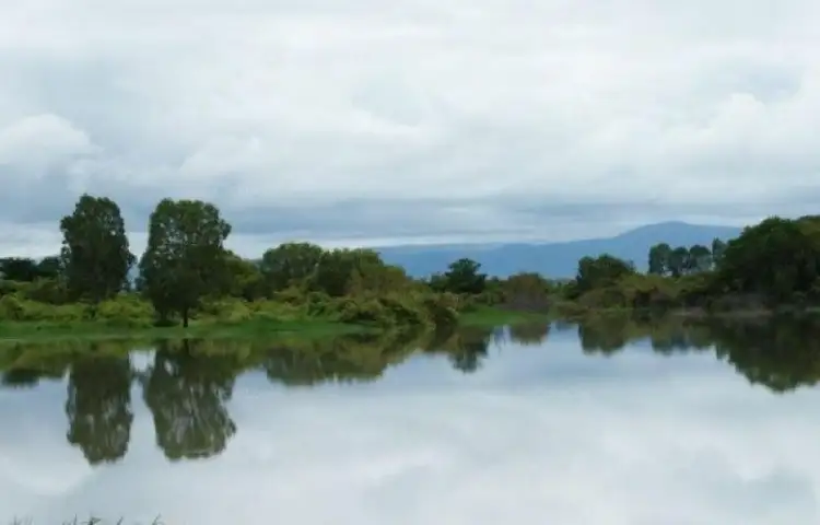 1688 Riverway Drive, Kelso QLD 4815