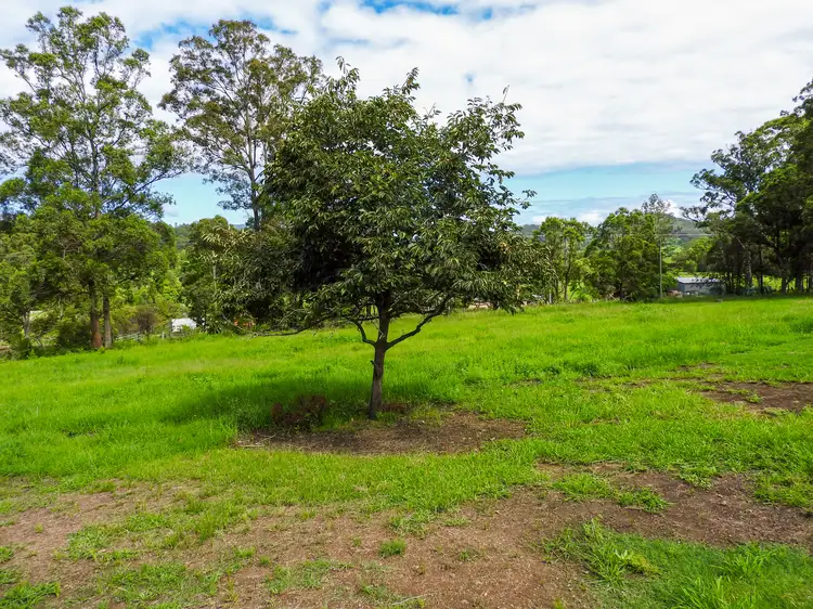Seventh view of Homely rural property listing, 250 Gloucester Road, BURRELL CREEK VIA, Wingham NSW 2429