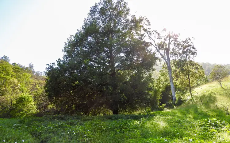 Fourth view of Homely rural property listing, LOT 41 DP 754447 Nowendoc Road, NUMBER ONE via, Wingham NSW 2429