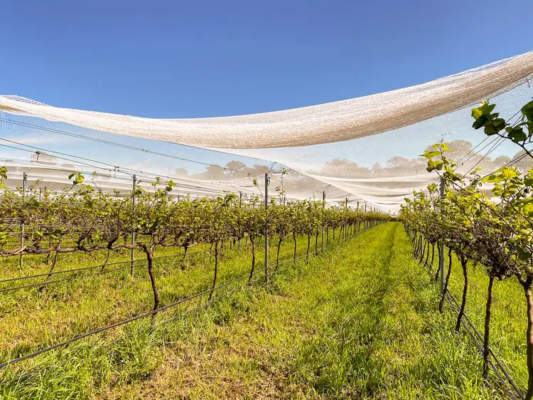 Third view of Homely land listing, 35 Appletree Street, Wingham NSW 2429