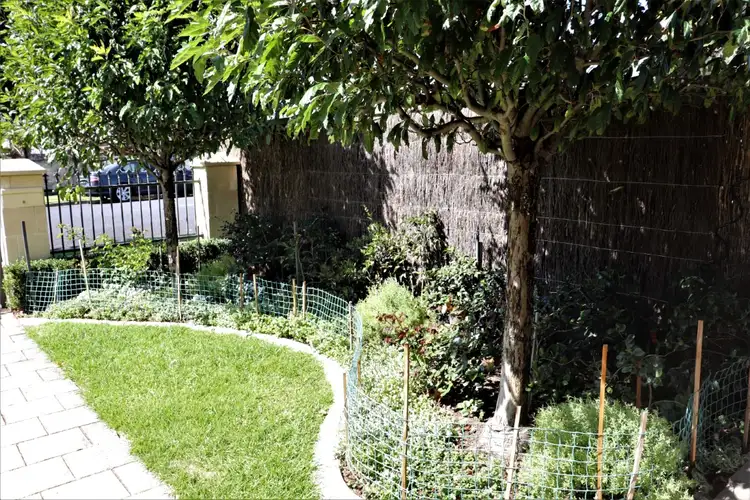 Third view of Homely townhouse listing, 2/6 Heriot Street, Mount Gambier SA 5290