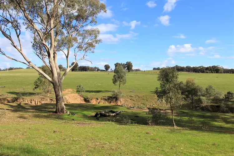 Second view of Homely rural property listing, 910 Northern Highway, Heathcote VIC 3523