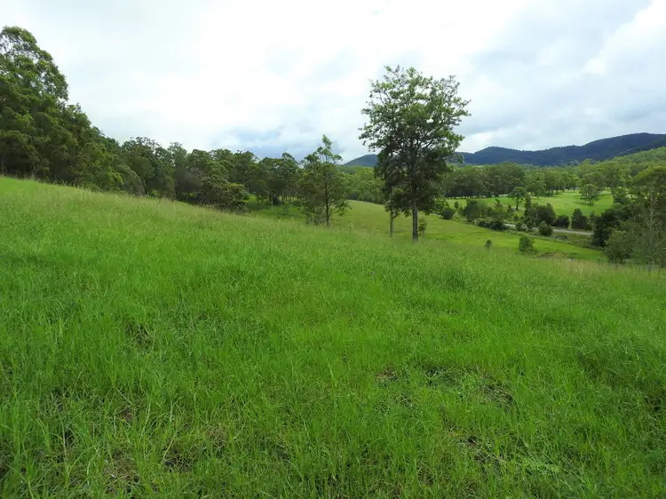 Second view of Homely rural property listing, 3202 The Bucketts Way, Krambach NSW 2429