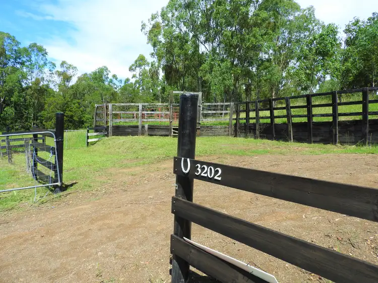 Third view of Homely rural property listing, 3202 The Bucketts Way, Krambach NSW 2429