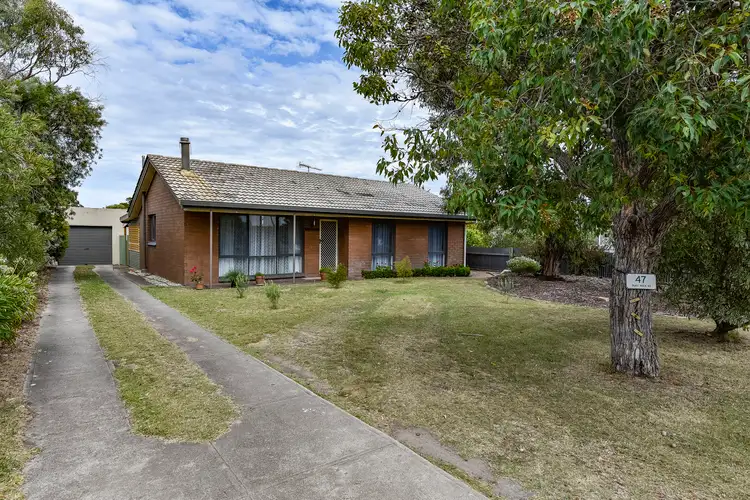 Main view of Homely house listing, 47 Ruff Rock Road, Millicent SA 5280