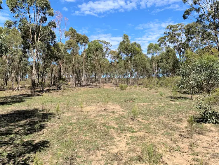 Seventh view of Homely land listing, LOT 19J Mt Camel-Graytown Road, Redcastle VIC 3523